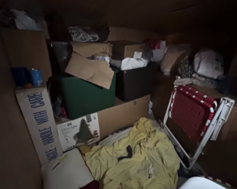 Intruder in basement